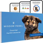 dog DNA kit for rescued dogs
