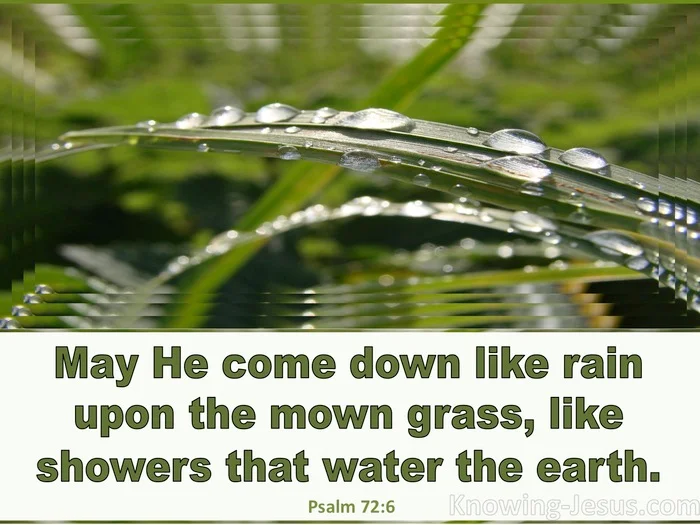 rain showers of blessings on earth