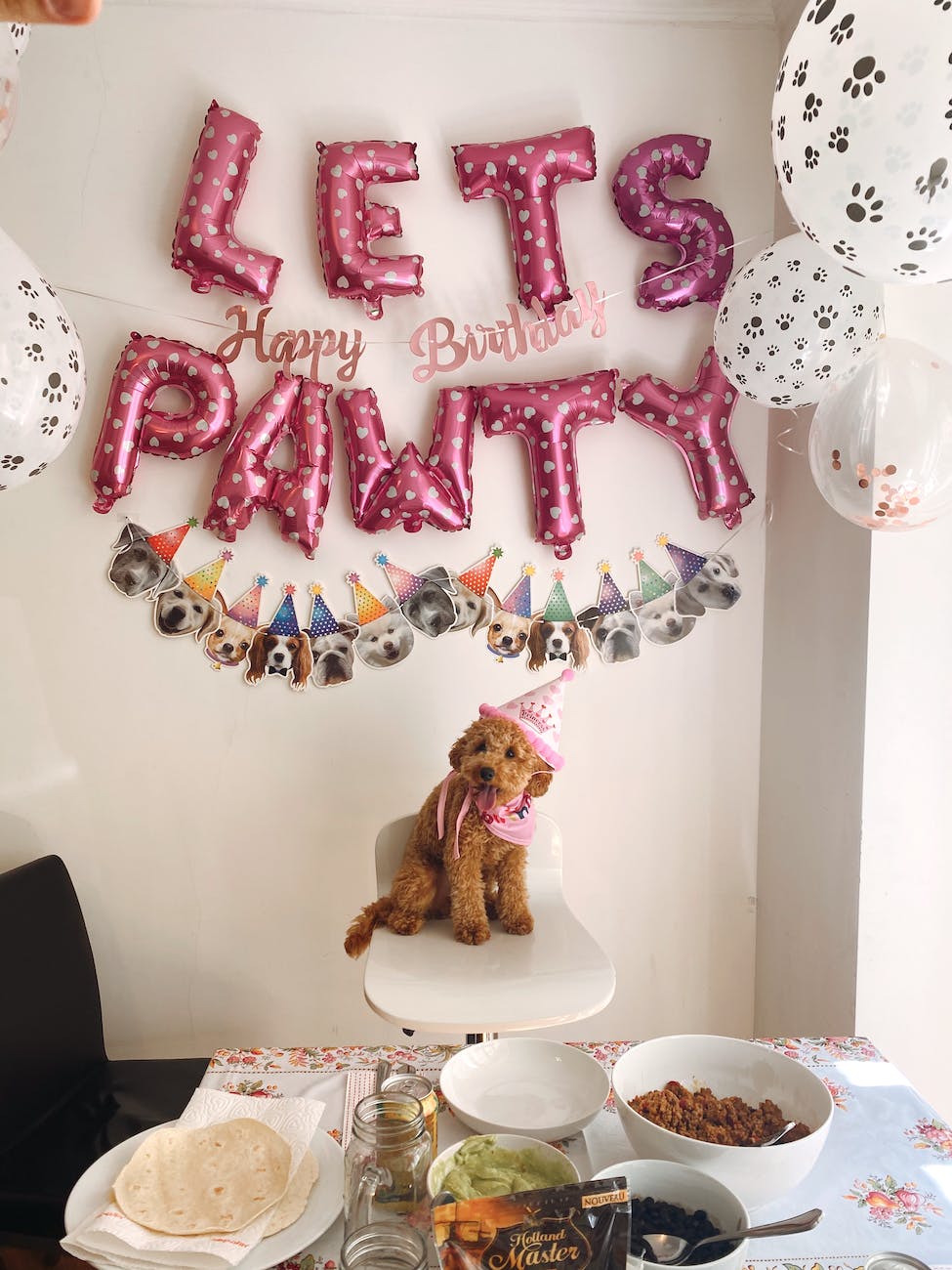 a dog party celebration