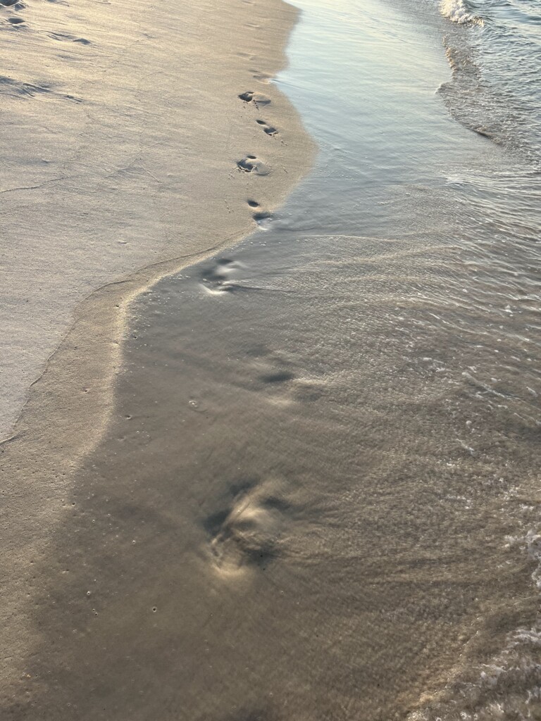 footprints in the sand being washed away by the tide
