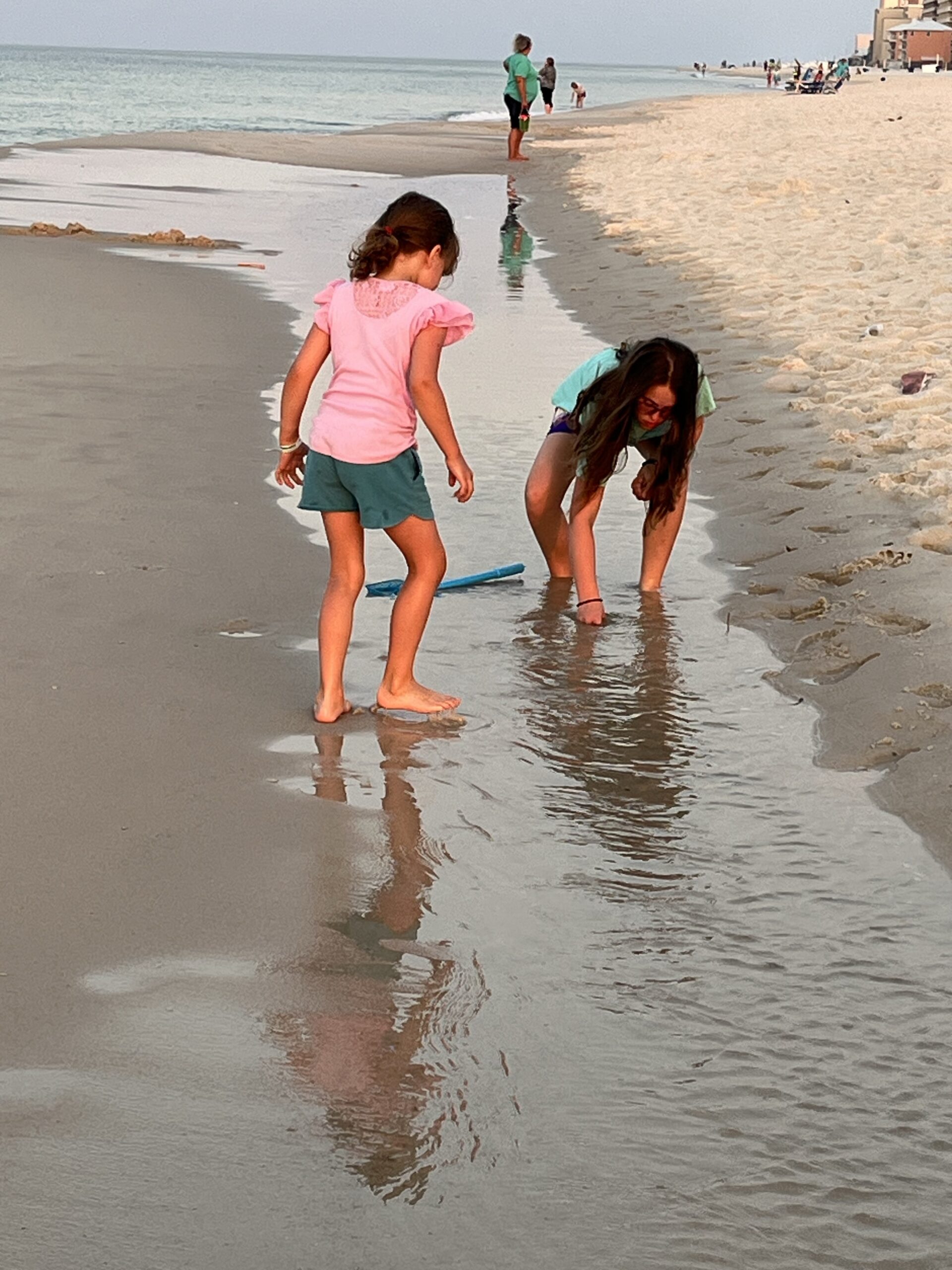 Lessons from the Beach – The Minnow Story
