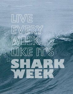 shark week quote