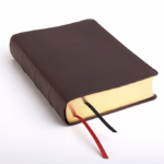 Brown Study Bible for Life Applications