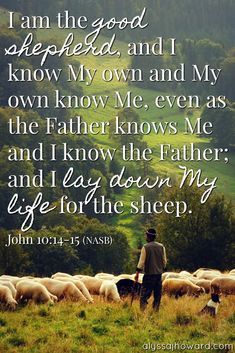 the Good Shepherd