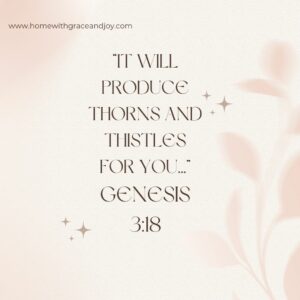 Genesis scripture thorns 