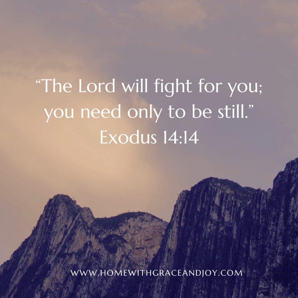 A scenic background of rocky mountains beneath a cloudy sky features a biblical quote from Exodus 14:14: "The Lord will fight for you; you need only to be still." Life Applications are shown through the calming message. The website "www.homewithgraceandjoy.com" is displayed at the bottom.