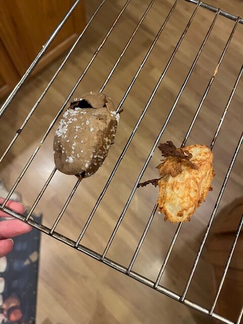 A hand holding an oven rack with two baked items fresh from the air fryer. One item is oval-shaped, brown, and cracked with white salt flakes on top. The other item is more irregularly shaped, yellowish, and appears slightly burnt with crispy protrusions. The background is a wooden floor.