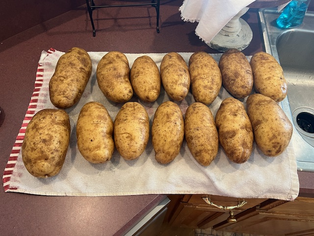 Thirteen large russet potatoes are lined up in three rows on a towel on a kitchen counter, ready for the ultimate baked potato bar. The counter is next to a sink, and a spray bottle is visible in the background.