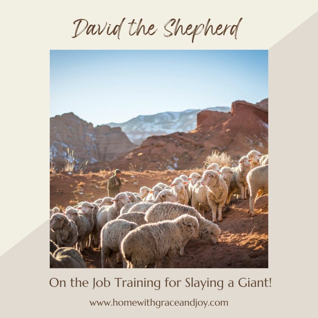 A shepherd, identified as "David the Shepherd" in the image, is tending to a flock of sheep in a rocky, mountainous landscape. Text reads, "On the Job Training for Slaying a Giant! Life Applications at www.homewithgraceandjoy.com.