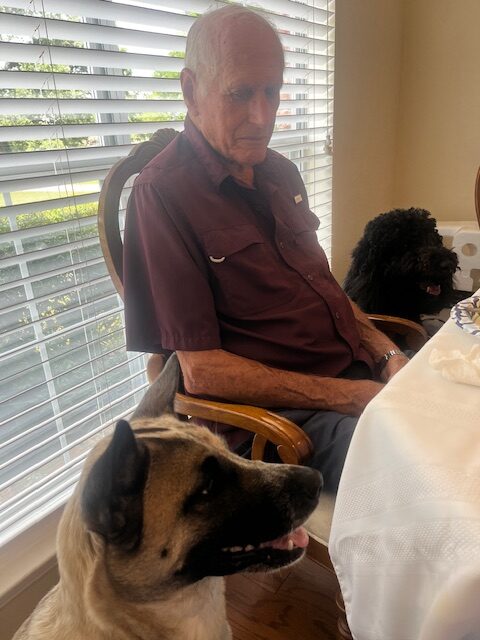 An elderly man in a maroon shirt sits at a dining table with vertical blinds in the background. A large black dog is sitting next to him, and another brown and black dog is standing in the foreground, both dogs facing to the left. The table is set for a DIY Nacho Bar feast, ready to be enjoyed by all.